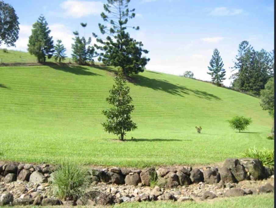Tiny House Mount Warning Chalet Eungella